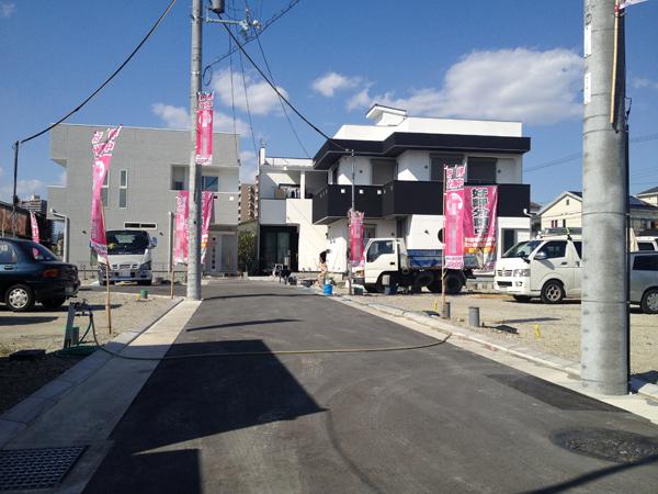Local photos, including front road. Subdivision in the local photo