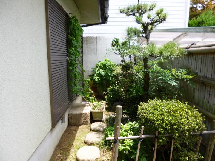 Garden. Local (July 2013) Shooting