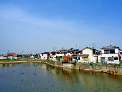 Other. Look at the west pond from local.