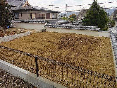 Garden. Local photos (garden)