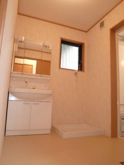 Wash basin, toilet. Convenient Shampoo dresser.