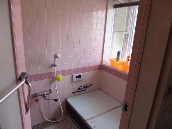 Bathroom. Indoor (March 2013) Shooting