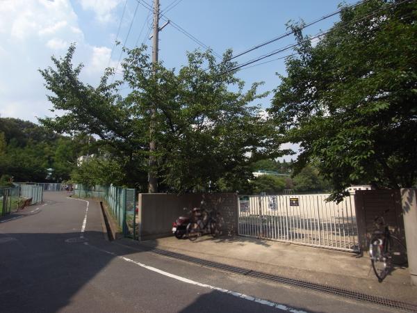 Junior high school. Sada 1600m until junior high school