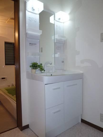 Wash basin, toilet. Convenient wash basin