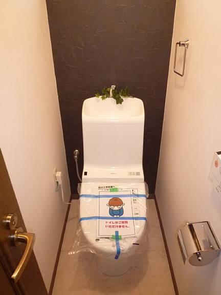 Toilet. Toilet had made!