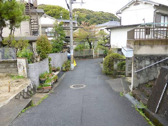 Local photos, including front road