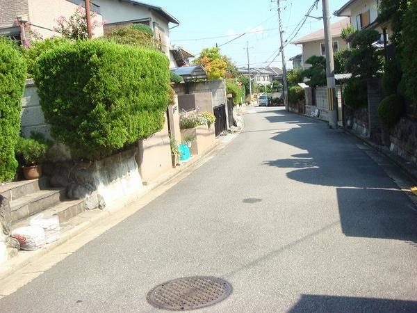 Local photos, including front road