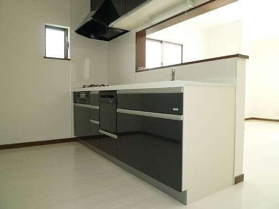 Kitchen. Latest system Kitchen.