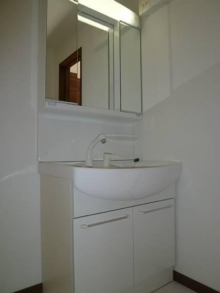 Wash basin, toilet. Convenient Shampoo dresser.