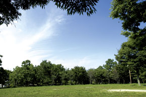 Other Environmental Photo. There is also a 720m swimming pool and a tennis court to Wanikoen. It can be reached in a 9-minute walk, Since the green often, Refresh can likely resting place plants in the family