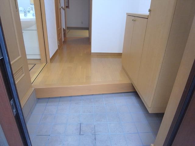 Entrance. Entrance space with a shoe box that height is about 180cm