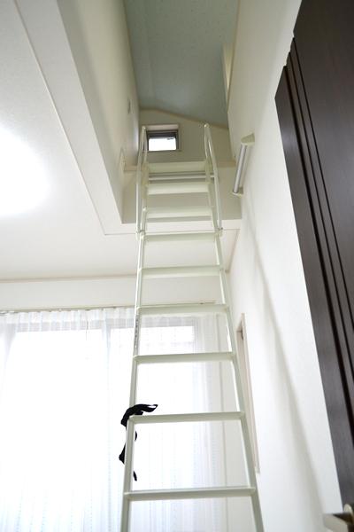 Other introspection. Hideout is a loft. (No. 6 land model house)