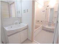 Wash basin, toilet. Housed plenty of wash basin with shower (same specifications as wash basin)