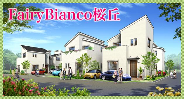 Local appearance photo. Rendering