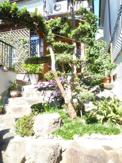 Entrance. Local (10 May 2013) Shooting