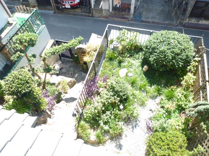 Garden. Local (10 May 2013) Shooting