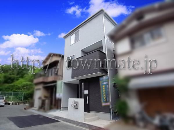 Local appearance photo. Appearance 2