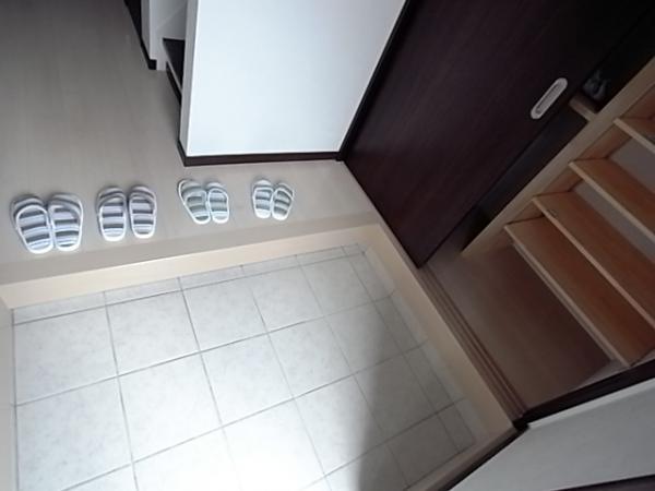 Entrance. Clean entrance at any time with storage