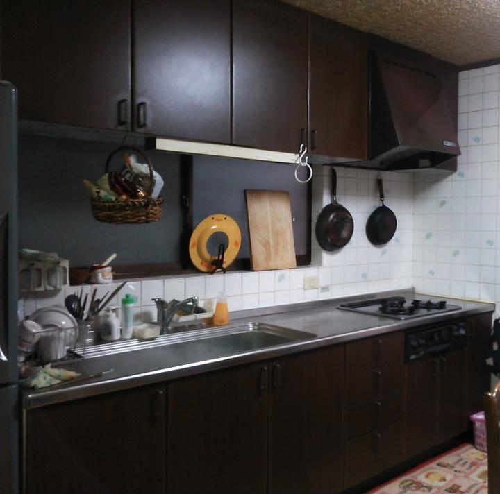 Kitchen. Indoor (12 May 2013) Shooting