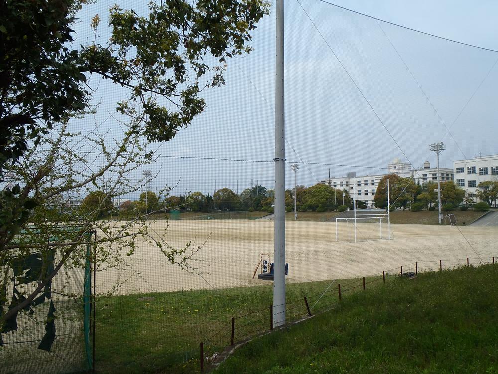 View photos from the local. View from local (201311 May) Shooting