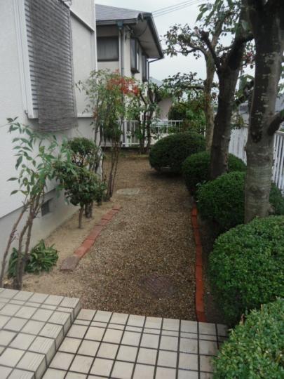 Garden. Local (11 May 2013) Shooting