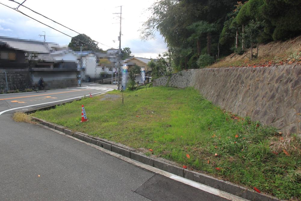 Other local.  ◆ Local Photos