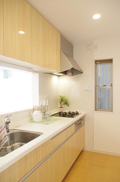 Kitchen. Convenient and fashionable, Face-to-face kitchen!