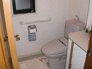 Toilet. Indoor (September 2013) Shooting