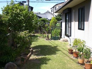 Garden. Indoor (September 2013) Shooting