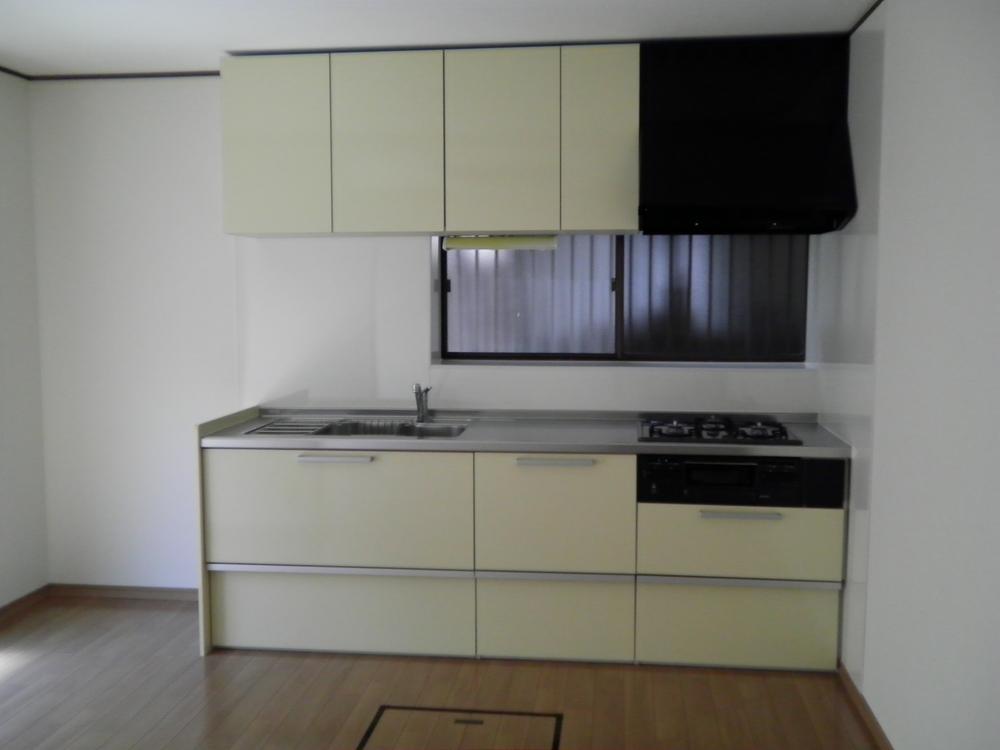 Kitchen. Indoor (June 2013) Shooting Shiny New replacement