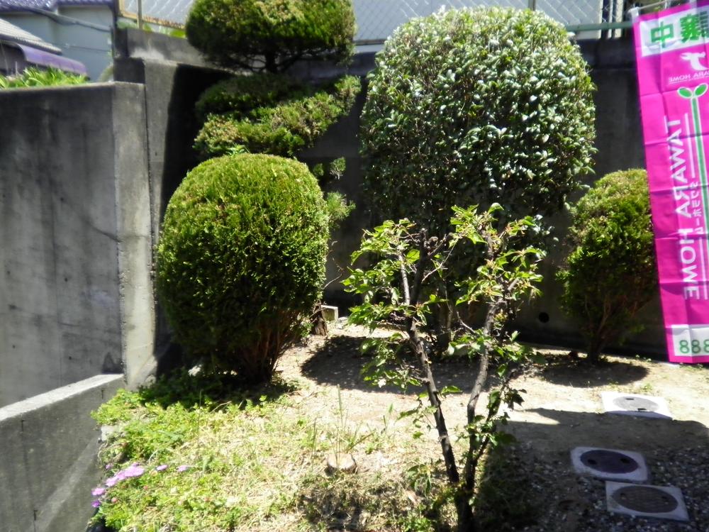 Garden. Local (June 2013) Shooting