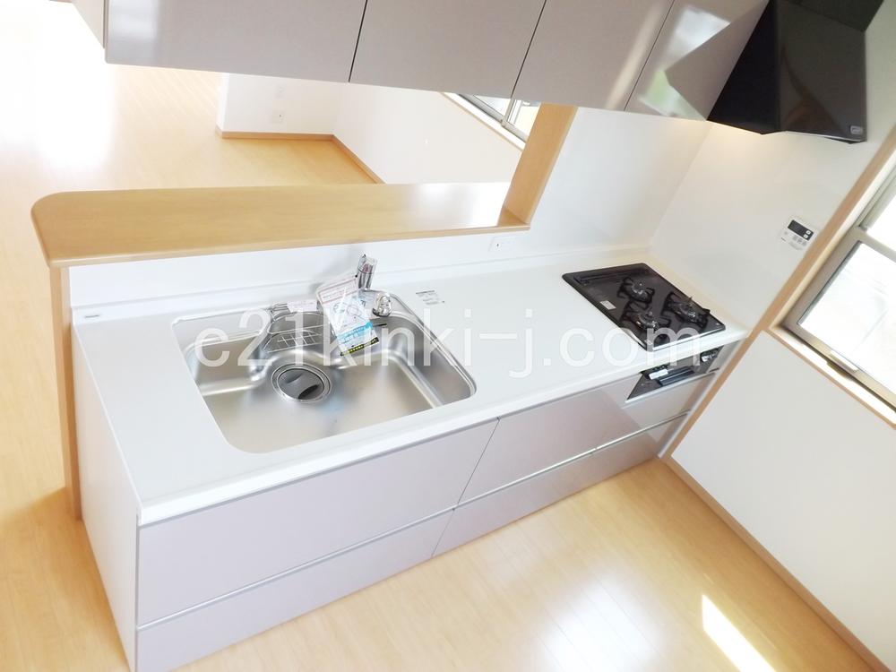 Kitchen. Local photo (kitchen) Slide storage! Water purifier with shower!