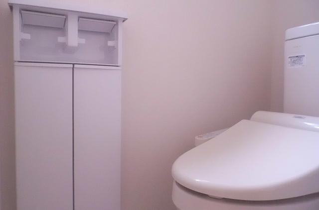 Toilet. Washlet standard adopted function with toilet