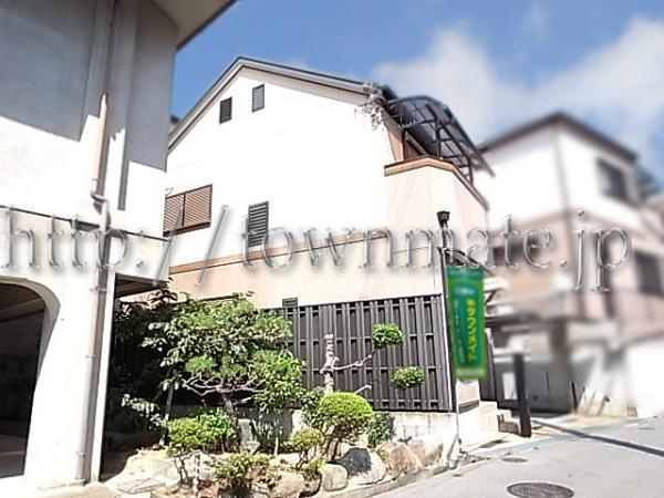 Other local. Appearance 2