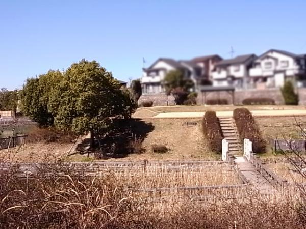 park. 368m to Tsuda park