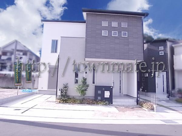 Local appearance photo. Appearance of calm hue