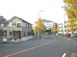 Local photos, including front road. Local (12 May 2013) Shooting