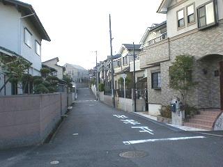 Local photos, including front road. Local (12 May 2013) Shooting