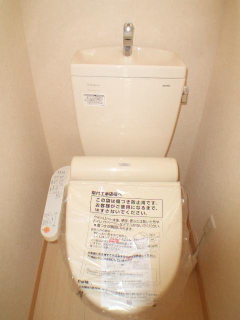 Toilet. The company construction cases