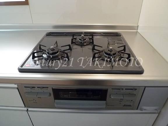 Other. Also happily cooking in 3-burner stove!