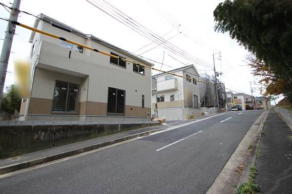 Local photos, including front road