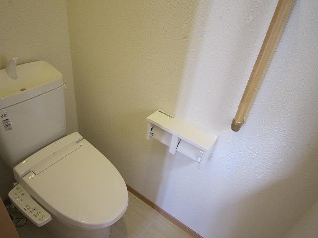 Toilet. Shooting from the room