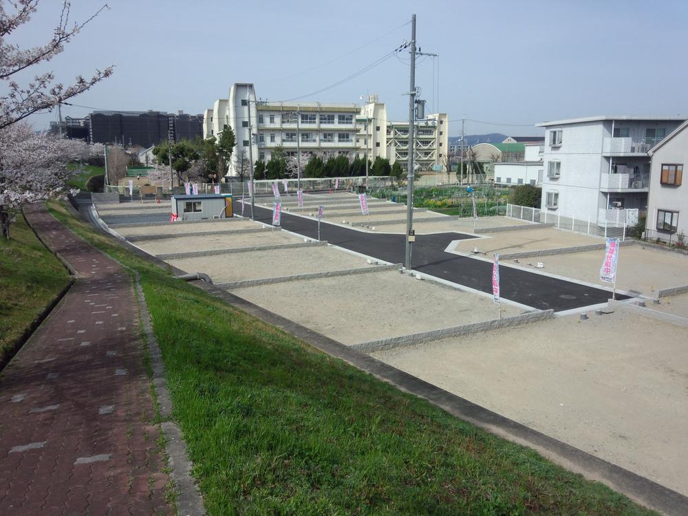 Local photos, including front road. Subdivision adjacent to the promenade of cherry trees (local photo)