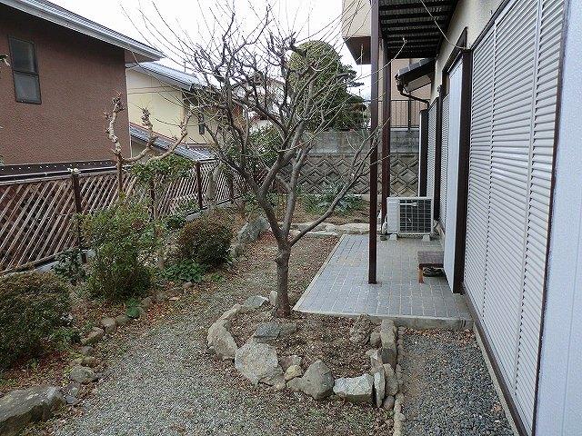 Garden. Local (February 2013) Shooting