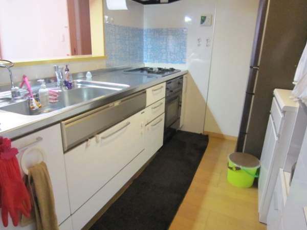 Kitchen. Counter Kitchen