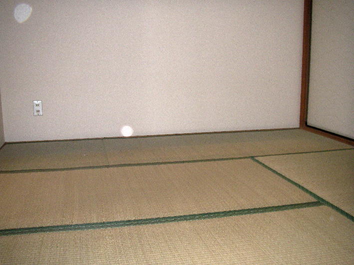Other room space. Japanese style room