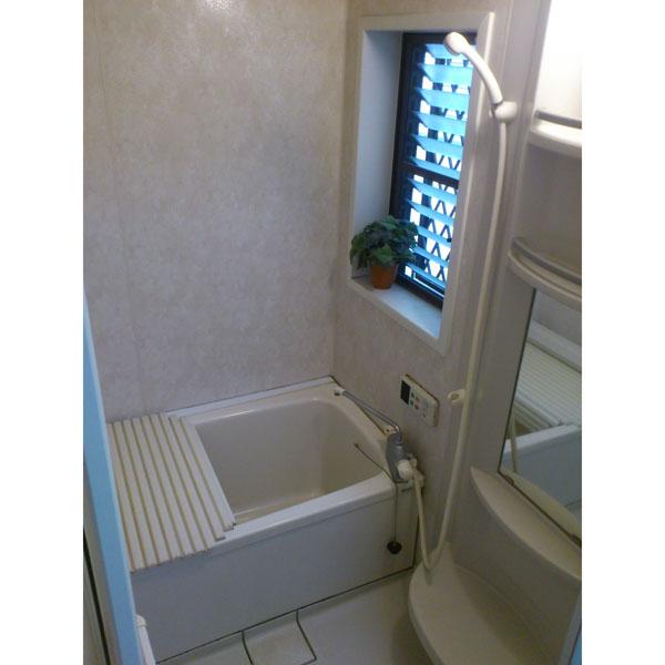 Bathroom. Indoor (10 May 2013) Shooting