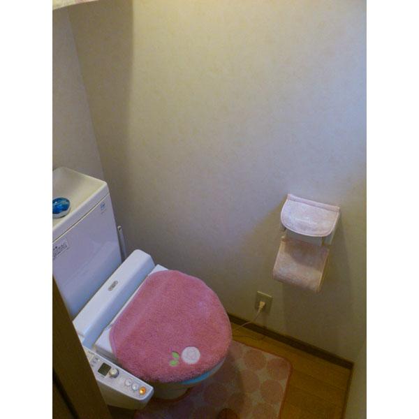 Toilet. Indoor (10 May 2013) Shooting