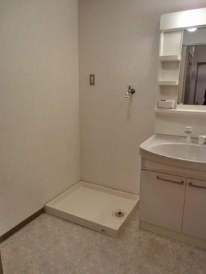 Washroom. Indoor laundry bread