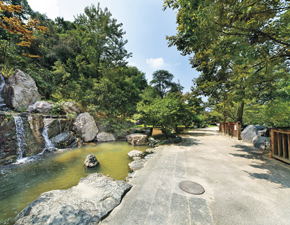 park. Because from 10m local to Minohara park proximity of a 1-minute walk, Likely Walking is a daily practice in the park. You can feel the four seasons